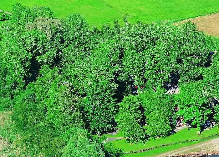 Hotel-restaurant Walserhof Gasthof 4*