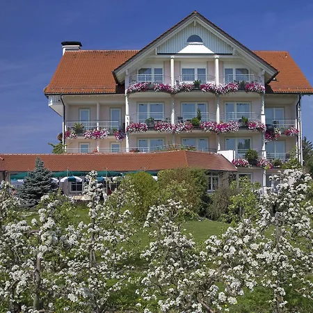 Pensjonat Hotel-restaurant Walserhof